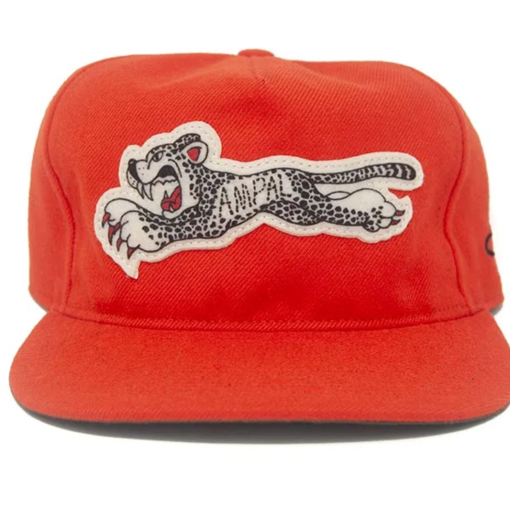 AMPAL CHEETAH III Orange - Snapback